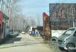 商丘梁园区最新爆料,揭秘背后惊人真相