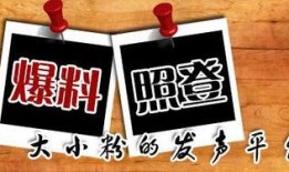 屯子最新爆料新闻,揭秘惊人内幕，事件真相令人震惊