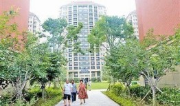 红岛街道最新爆料,揭秘神秘事件背后的真相