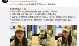湛江出轨爆料事件最新,真相与争议交织的舆论漩涡