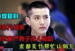 吴亦凡妈妈最新爆料消息,揭秘儿子事业低谷背后的真相