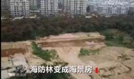 海阳热点爆料最新消息今天,今日热点事件聚焦