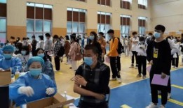 厦门餐饮爆料案件最新消息,真相逐步浮出水面