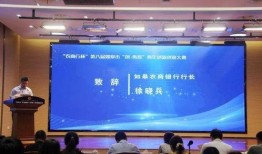 如皋农商行某支行行长最新爆料,揭秘银行内部运作真相